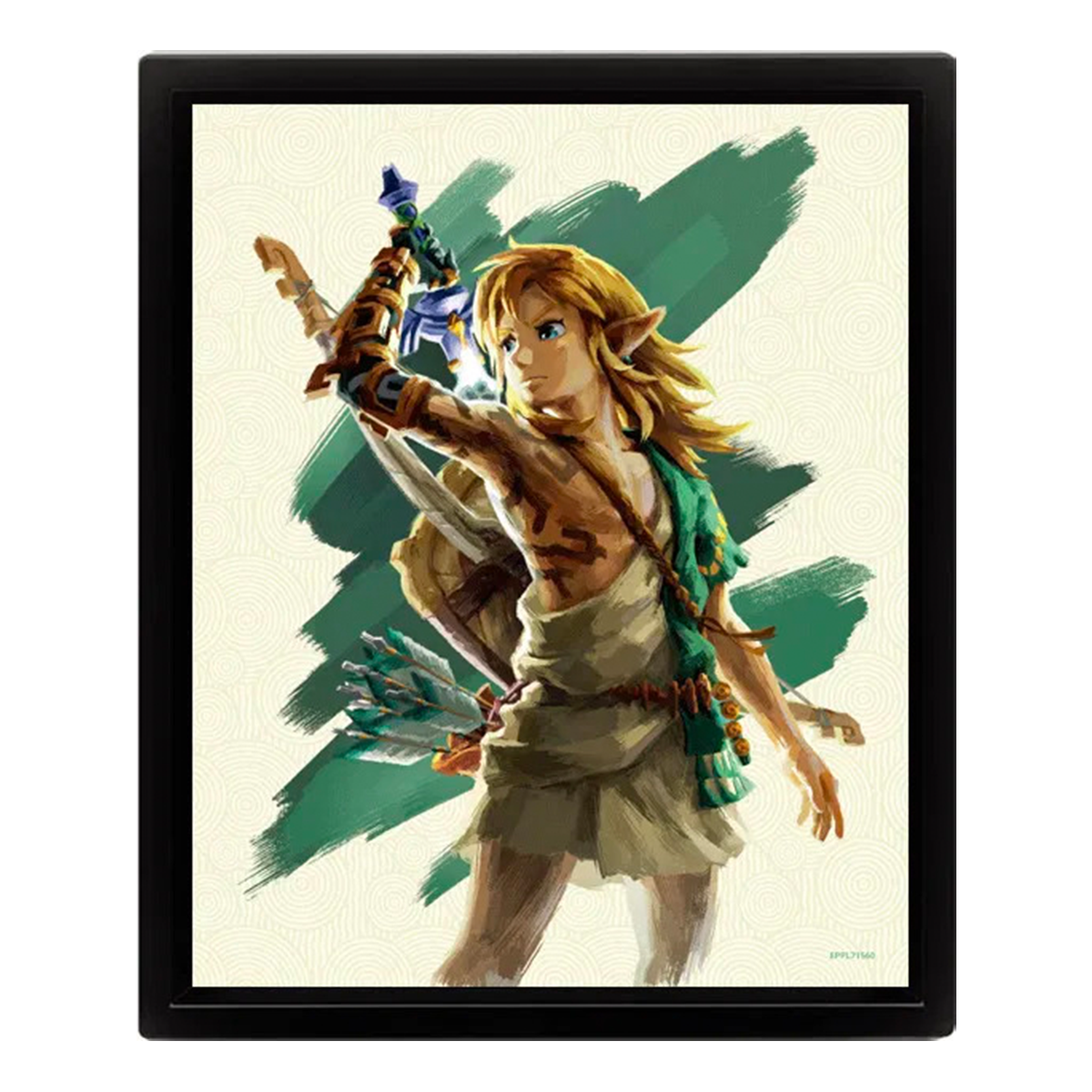 Zelda - Tears of the Kingdom - Link Unleashed (8"x10" Lenticular Shadow Box)